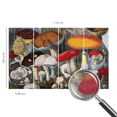 Fototapet barn Botaniska svampar