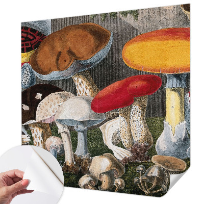 Fototapet barn med motiv av botaniska svampar