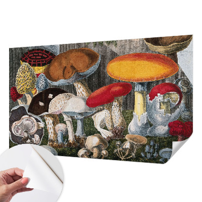 Fototapet barn med motiv av botaniska svampar