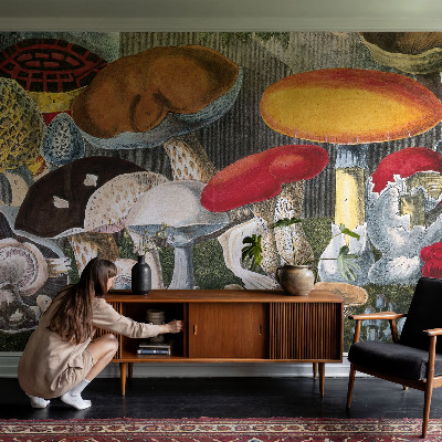 Fototapet barn med motiv av botaniska svampar