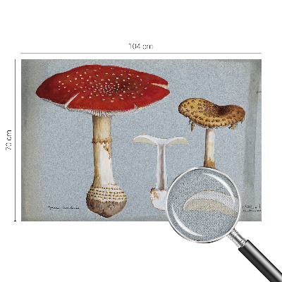 Självhäftande fototapet Svampgravyrer