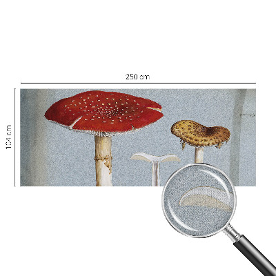 Självhäftande fototapet Svampgravyrer