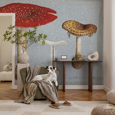 Självhäftande fototapet Svampgravyrer