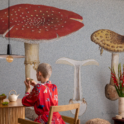 Självhäftande fototapet med motiv av svampgravyrer
