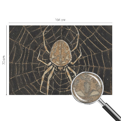 Fototapet barnrum Spindelnät