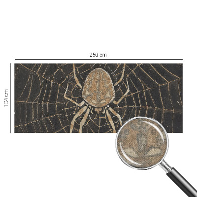 Fototapet barnrum Spindelnät