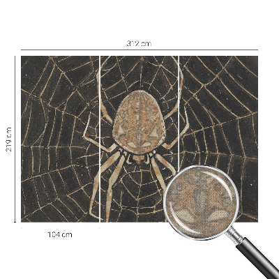 Fototapet barnrum Spindelnät