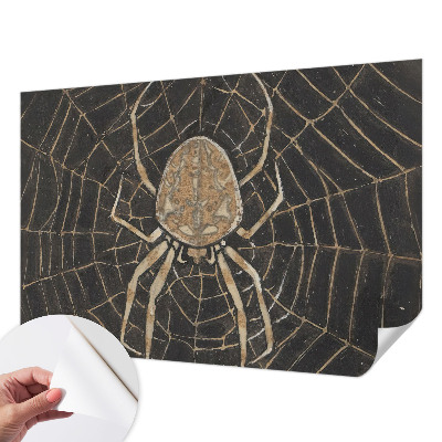 Fototapet barnrum med motiv av ett spindelnät