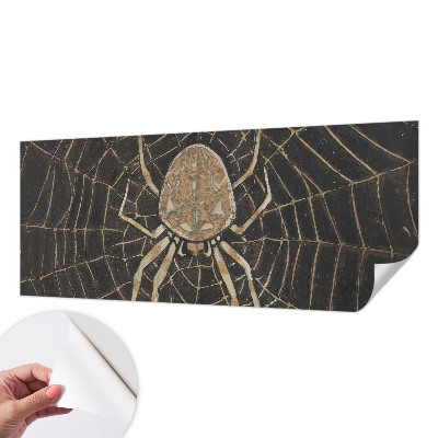 Fototapet barnrum Spindelnät