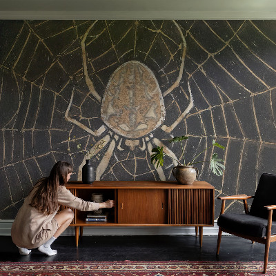 Fototapet barnrum Spindelnät