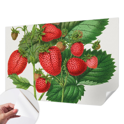 Självhäftande fotovägg med motiv av sommarfrukter