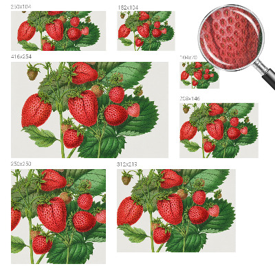 Självhäftande fotovägg Sommarfrukter