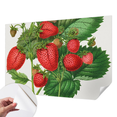 Självhäftande fotovägg med motiv av sommarfrukter
