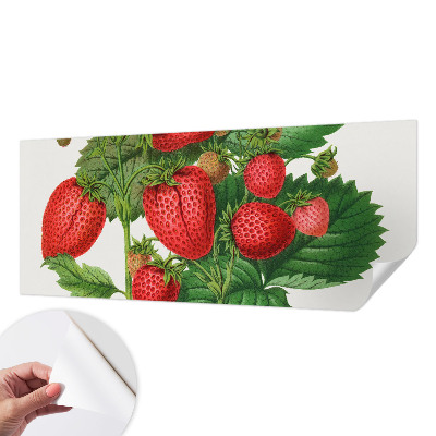 Självhäftande fotovägg med motiv av sommarfrukter