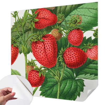 Självhäftande fotovägg med motiv av sommarfrukter