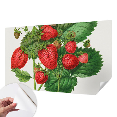 Självhäftande fotovägg med motiv av sommarfrukter