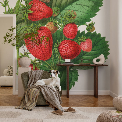 Självhäftande fotovägg med motiv av sommarfrukter