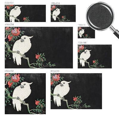 Självhäftande fototapet Granatäpplepapegoja