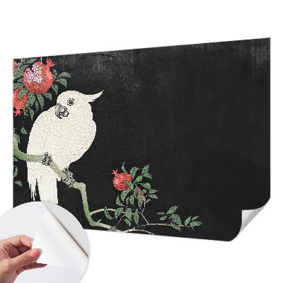 Självhäftande fototapet Granatäpplepapegoja