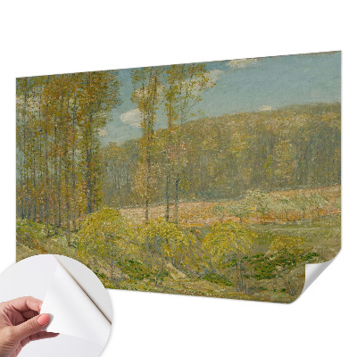 Självhäftande fotovägg med motiv av ett skogslandskap