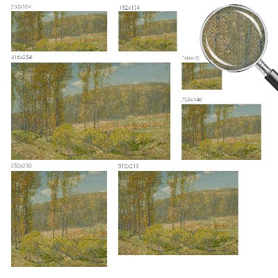 Självhäftande fotovägg med motiv av ett skogslandskap