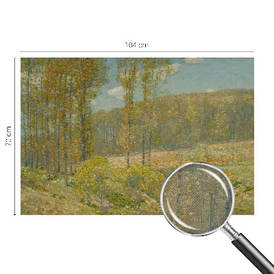Självhäftande fotovägg med motiv av ett skogslandskap