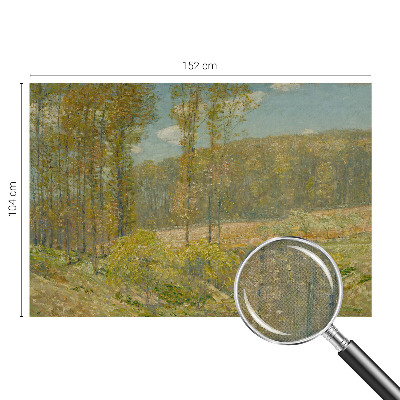 Självhäftande fotovägg med motiv av ett skogslandskap