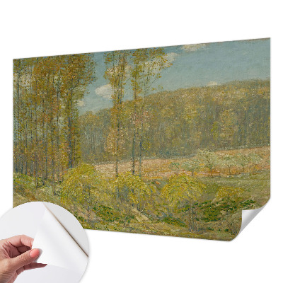 Självhäftande fotovägg med motiv av ett skogslandskap