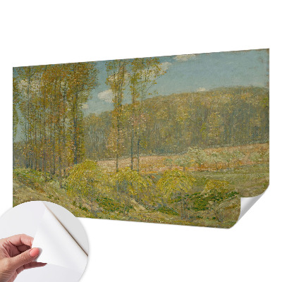 Självhäftande fotovägg med motiv av ett skogslandskap