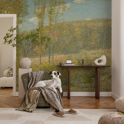 Självhäftande fotovägg Skogslandskap