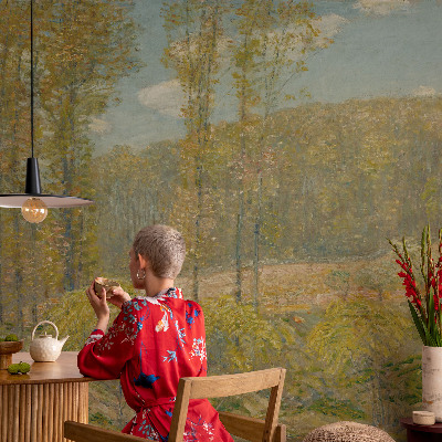 Självhäftande fotovägg Skogslandskap