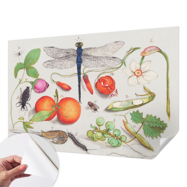 Fototapet för barn med en naturillustration
