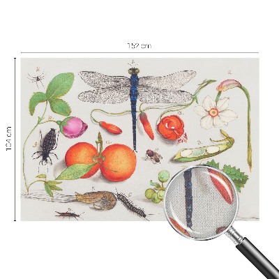 Fototapet för barn med en naturillustration