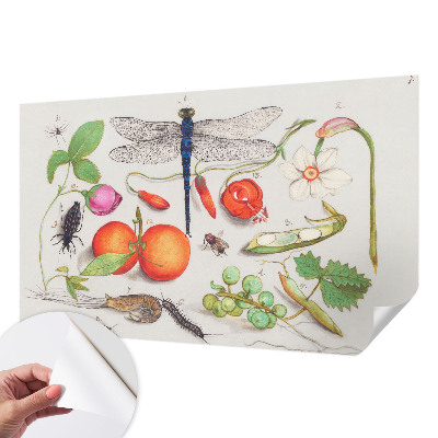 Fototapet för barn med en naturillustration