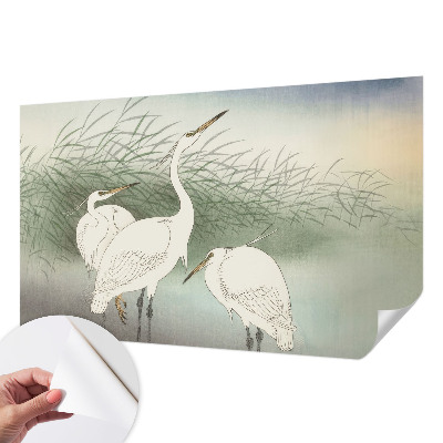 Peel and stick fototapet Hägrar i gräset