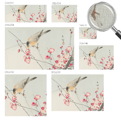 3D fototapet med motiv av en blomfågel