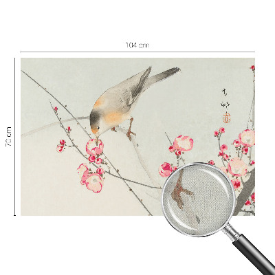 3D fototapet med motiv av en blomfågel