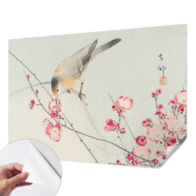 3D fototapet med motiv av en blomfågel