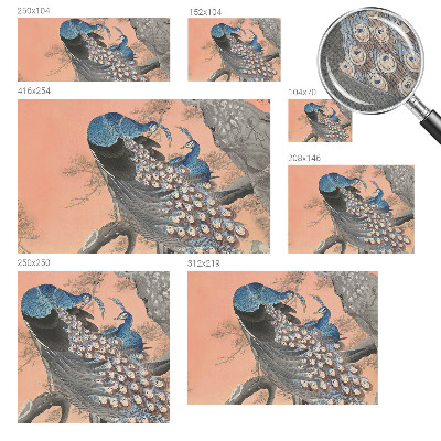 Fototapet barnrum Påfågelliknande elegans