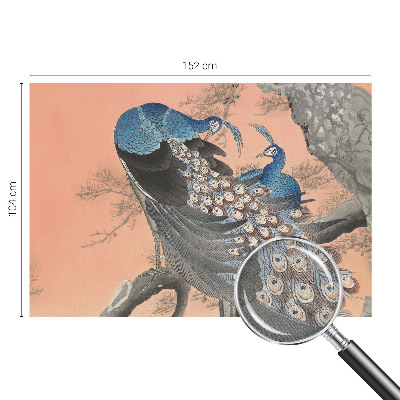 Fototapet barnrum Påfågelliknande elegans