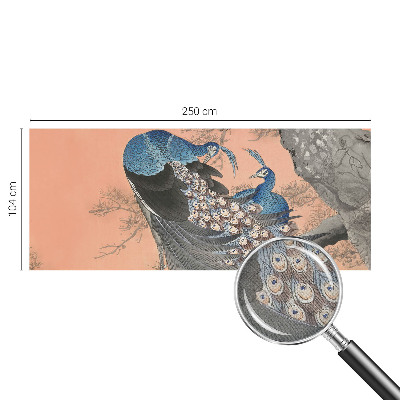 Fototapet barnrum Påfågelliknande elegans