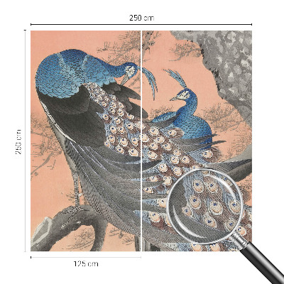 Fototapet barnrum Påfågelliknande elegans