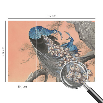 Fototapet barnrum Påfågelliknande elegans