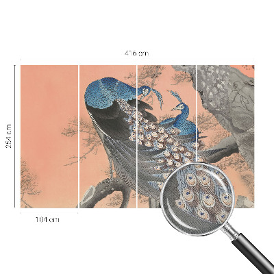 Fototapet barnrum Påfågelliknande elegans