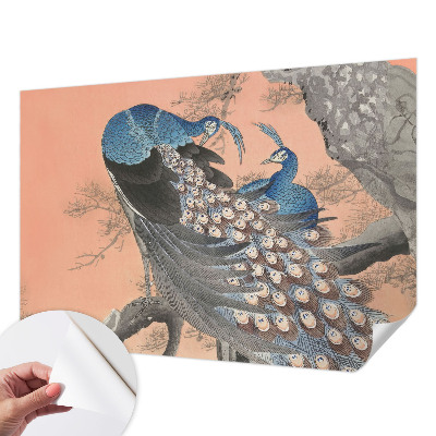 Fototapet barnrum Påfågelliknande elegans