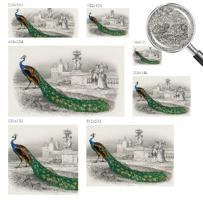 Fototapet för barn Färgglada fjädrar