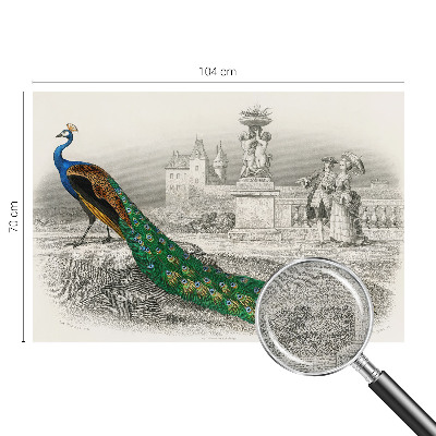 Fototapet för barn Färgglada fjädrar