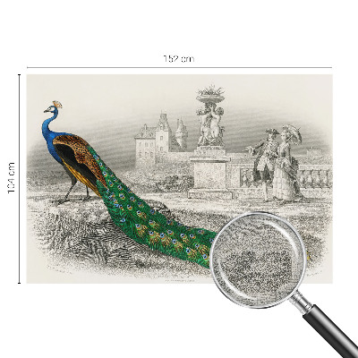 Fototapet för barn Färgglada fjädrar