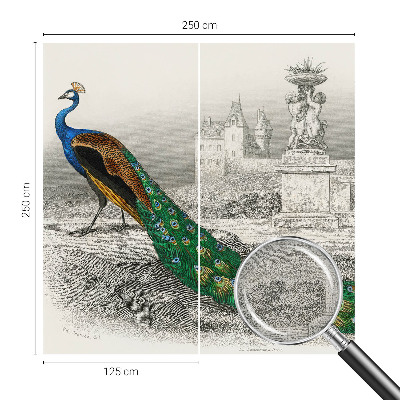 Fototapet för barn Färgglada fjädrar