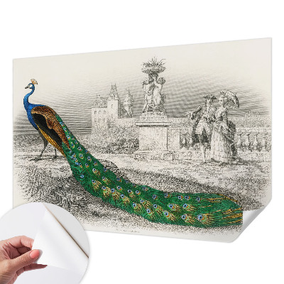 Fototapet för barn Färgglada fjädrar